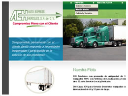 SITIO WEB