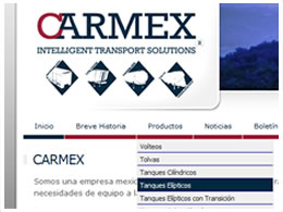 SITIO WEB