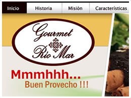SITIO WEB