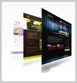 Diseño Web Profesional