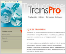 Diseño Web Profesional